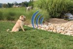 PetSafe Pawz Away Outdoor Pet Barrier - PWF00-11923