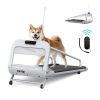 New Quiet Smart Pet Treadmill, Adjustable Speed, Perfect for Small/Medium Dogs