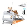 New Quiet Smart Pet Treadmill, Adjustable Speed, Perfect for Small/Medium Dogs