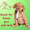 My Name is Jay, Cute Stuffed Parody Joint Dog Toy, Funny Squeaky Weed Toy, Cool Plush Novelty 420 Gift for Pets & Their Owners