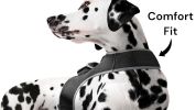 Durable Cat Dog GPS Tracker Waterproof GSM Pet Tracking System w/ Apps Size:S