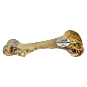 Femur Beef Bone (Size: Individual)