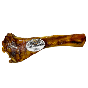 Tibia Beef Bone (Size: Individual)