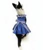 Blue Gingham Dog Dress with Matching Leash