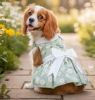 Mint Green Daisy Dog Dress with Matching Leash
