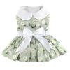 Mint Green Daisy Dog Dress with Matching Leash