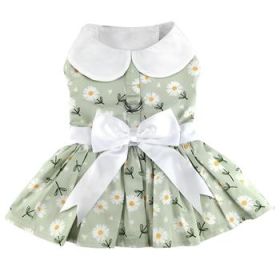 Mint Green Daisy Dog Dress with Matching Leash (Option: Large)