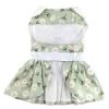 Mint Green Daisy Dog Dress with Matching Leash