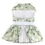 Mint Green Daisy Dog Dress with Matching Leash (Option: X-Large)