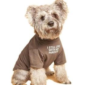 Pet Clothes Round Neck T-shirt (Option: Khaki-L)